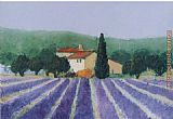 Hazel Barker Lavender Field Near St Tropez painting